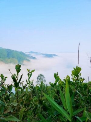 Toàn cảnh thiên nhiên ở Quảng Ninh