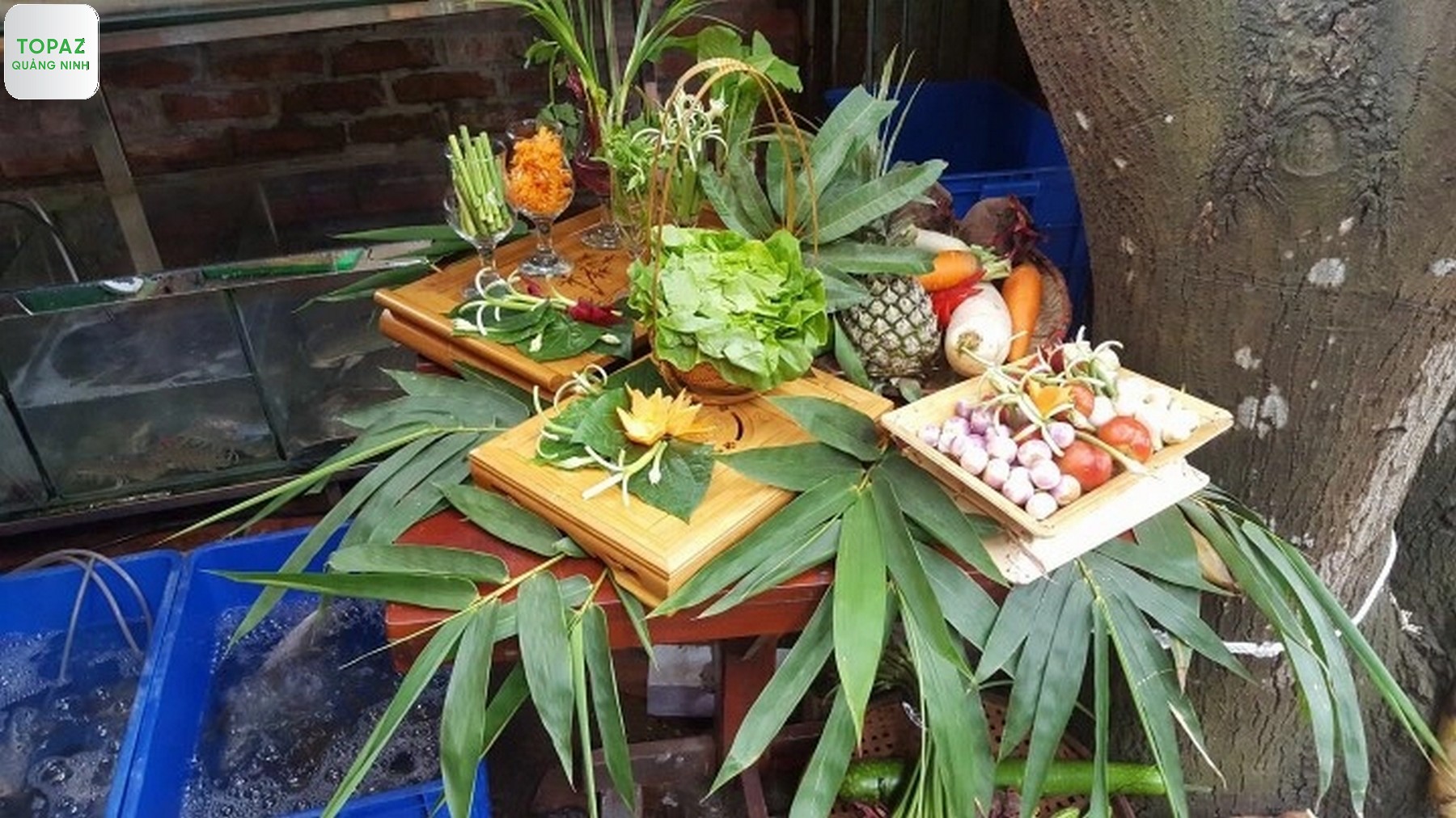 Thưởng thức đa dạng các món ăn địa phương và đặc sản hấp dẫn qua danh sách các địa điểm ăn uống gần chùa Yên Tử