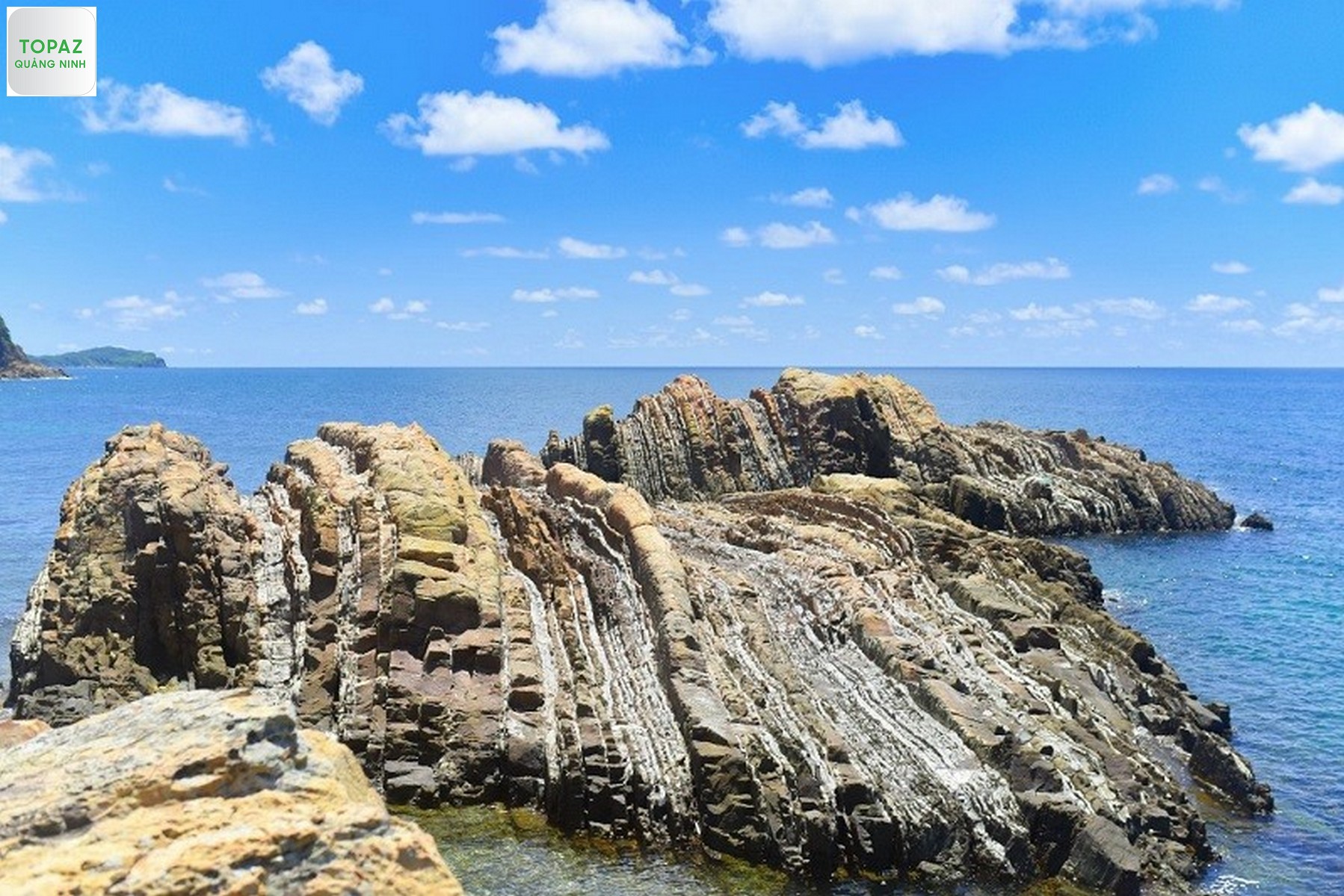 Trải qua sự bào mòn của sóng biển hàng nghìn năm tạo nên những vạn đá hình thù kỳ lạ của bãi đá Cầu Mỵ