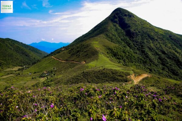 Núi Cao Ly Bình Liêu