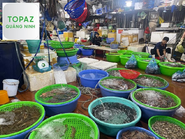 Hải sản từ chợ đều mới đánh bắt, tip nhỏ là cửa hàng càng to thì hải sản càng tươi ngon